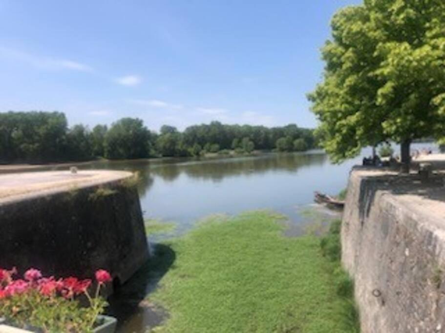 Le Domremy F2 Au Coeur D'Orleans Apartment Екстериор снимка